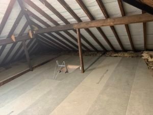 attic pest control